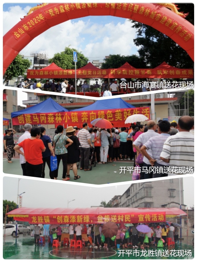 200714江门市成功举办2020年“我为森林小镇添新绿”绿植送市民暨森林城市建设宣传活动 (2).jpg