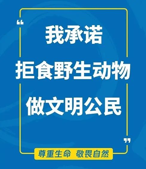 200918拒食野生动物，争做文明公民 (1).jpg