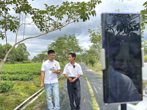 恩平首场农技知识大讲堂——恩平簕菜种植技术22.png