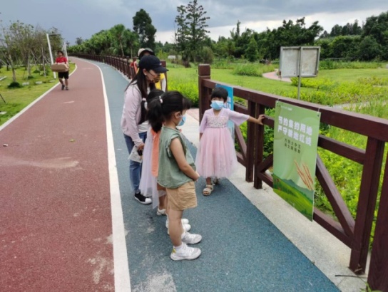 220626节约集约用地 严守耕地红线︱江门市自然资源局举行第32个全国土地日宣传活动 (6).jpg