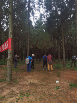 230509采风进行时 “江门•发现森林之美”全国摄影大赛采风团走进鹤山台山 (4).png