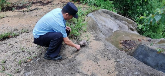 230707广东江门古兜山省级自然保护区救助国家二级保护野生动物--领角鸮 (2).png