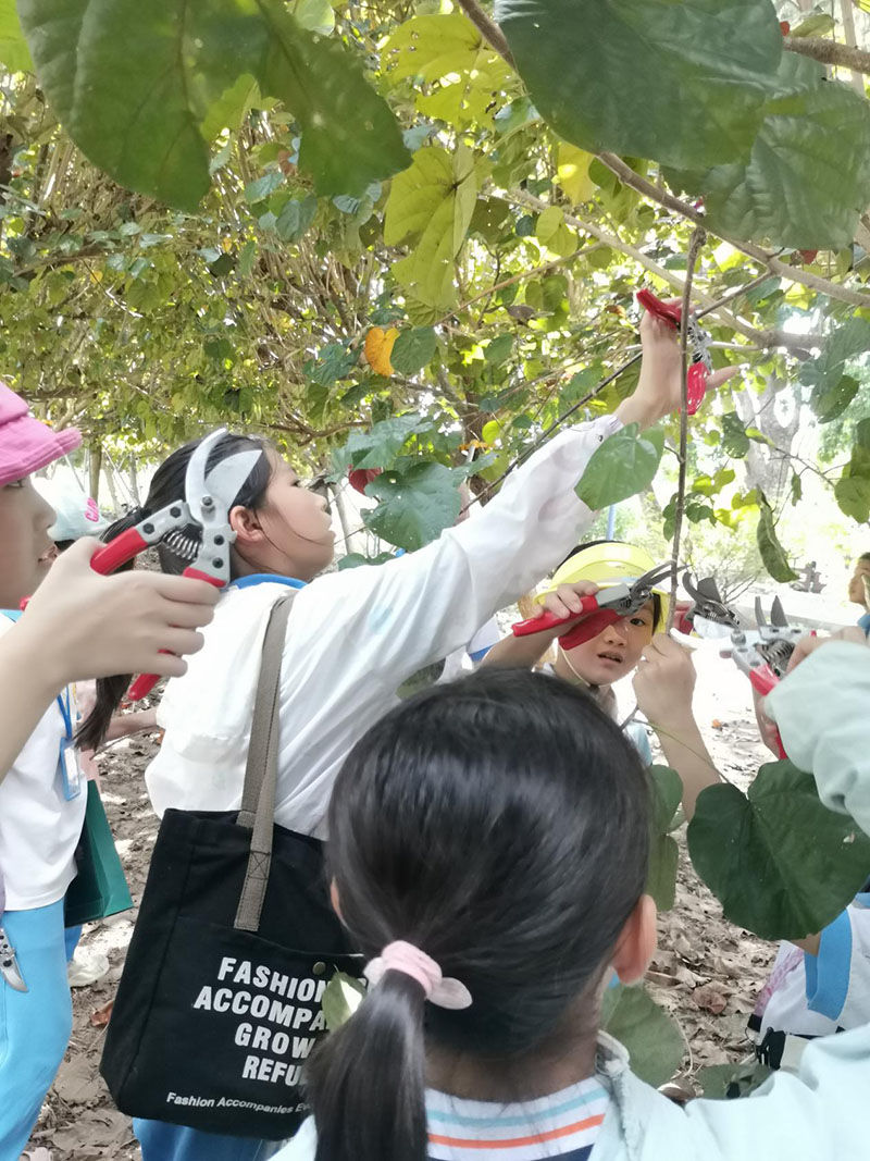 231008台山市甫草林场开学季•“育”见自然系列自然教育活动第一课开讲啦 (2).jpg