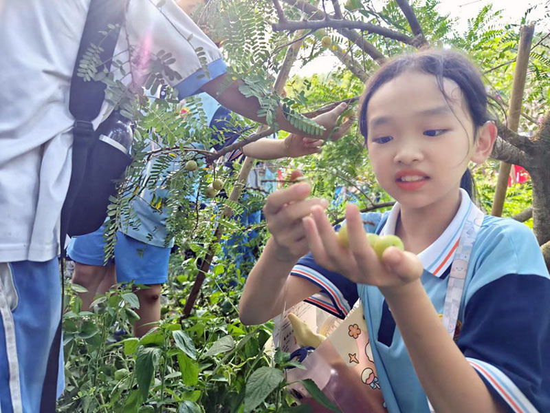 231008台山市甫草林场开学季•“育”见自然系列自然教育活动第一课开讲啦 (5).jpg