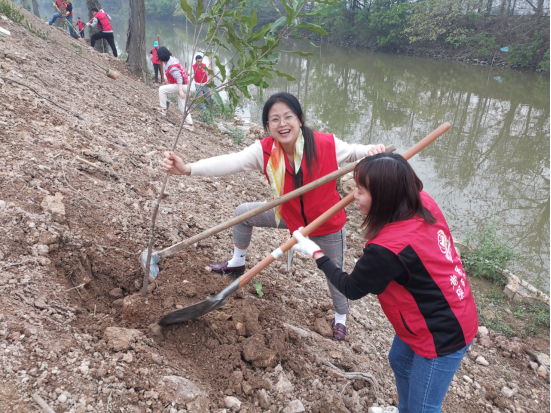 240319助推“百千万工程” 共建绿美家园 (3).png