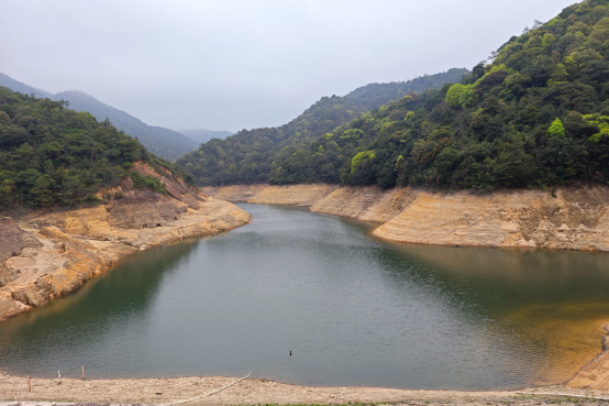 240328首次记录！这种国家一级保护野生动物现身江门古兜山保护区 (3).png