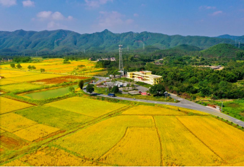 240625 2024年江门市全国“土地日”主场宣传活动在恩平市启动 (5).png