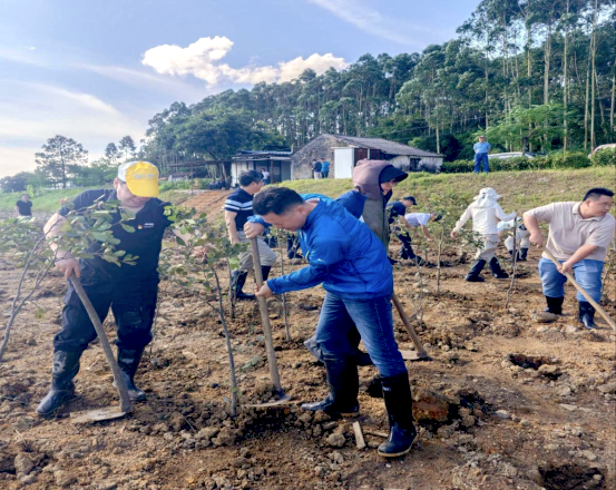 240626党建红引领生态绿 守护红树林助力绿美广东 (4).png