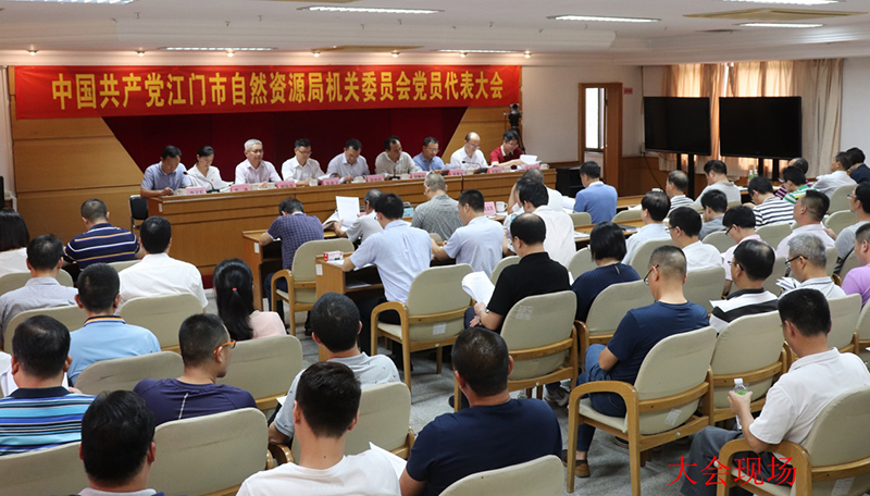 190702中共江门市自然资源局机关委员会党员代表大会顺利召开 (1).jpg